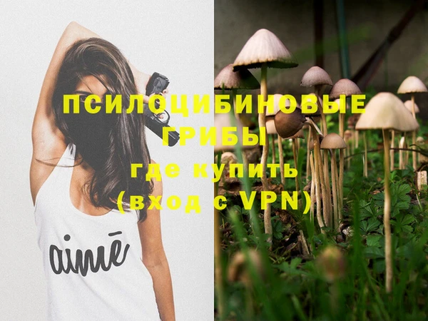 круглые Арсеньев