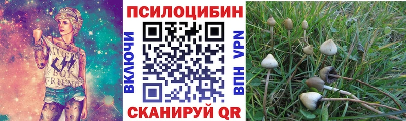 цена   Моршанск  Галлюциногенные грибы прущие грибы 