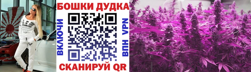 Бошки Шишки гибрид Моршанск